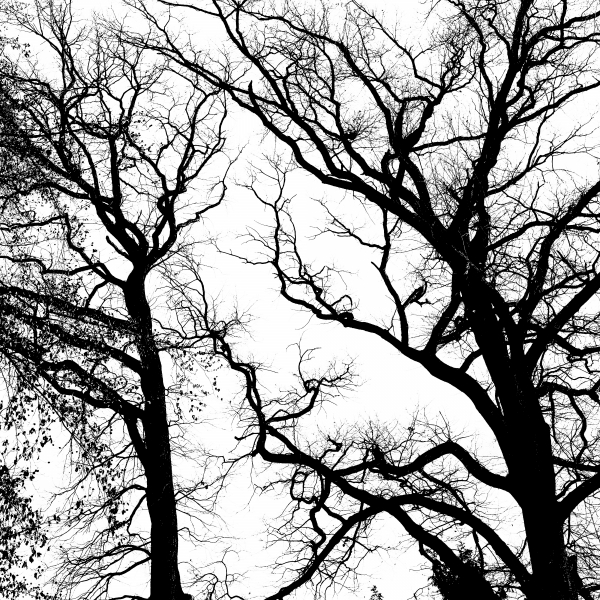 Park6_druck
